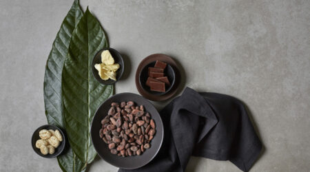 L'évolution du goût du cacao