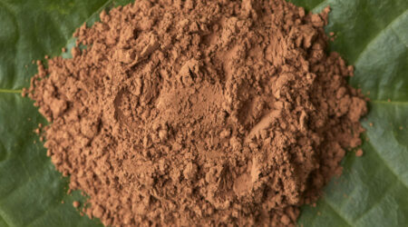 Unlocking the Mysteries of Cocoa Powder: Discover Barrancoli From The Dominican Republic 