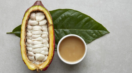 La Perfection de la Pulpe : Saveurs Exotiques Sucrées du Cacao