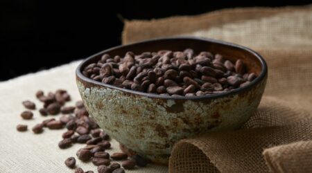 Marcelle Media: Justine, chasseuse de cacao fin et durable